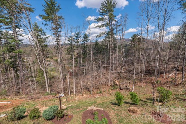 311 Wild Ginger Court, Weaverville, NC 28787