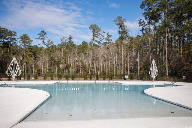 334 Splendor Circle, Murrells Inlet, SC 29576