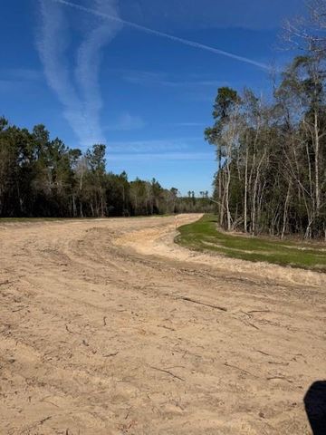 TBD LOT 46 Highline Drive, Livingston, TX 77351