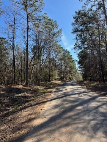 TBD LOT 46 Highline Drive, Livingston, TX 77351