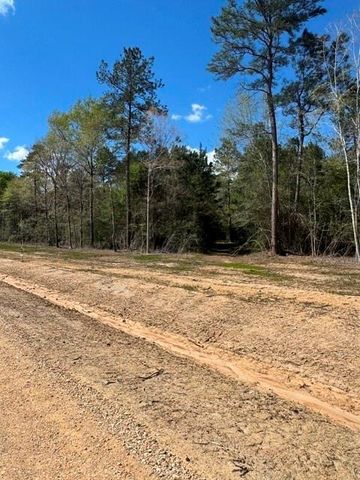TBD LOT 46 Highline Drive, Livingston, TX 77351