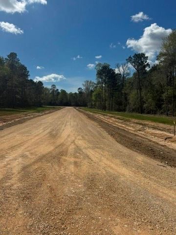 TBD LOT 46 Highline Drive, Livingston, TX 77351
