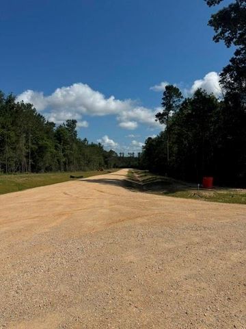 TBD LOT 46 Highline Drive, Livingston, TX 77351
