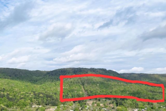 06 S Pittsburg Mountain Road 06, South Pittsburg, TN 37380