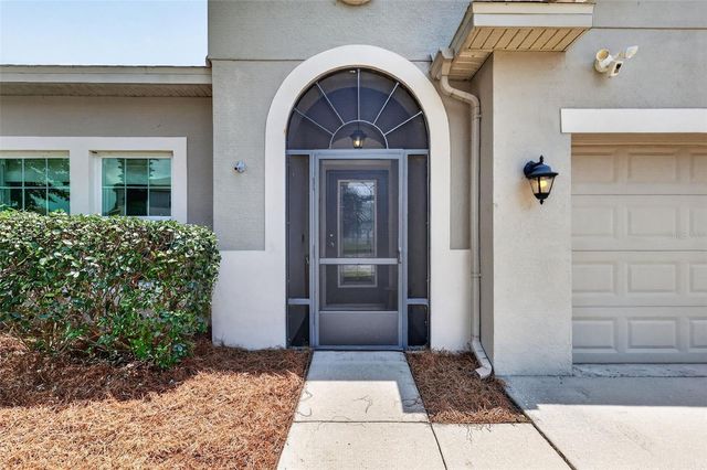 3115 ZANDER DRIVE, Grand Island, FL 32735