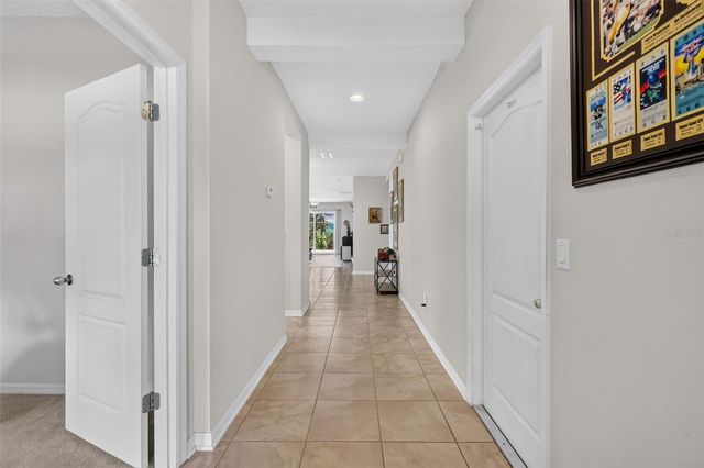 3115 ZANDER DRIVE, Grand Island, FL 32735