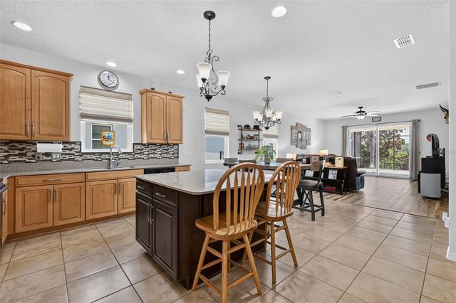 3115 ZANDER DRIVE, Grand Island, FL 32735