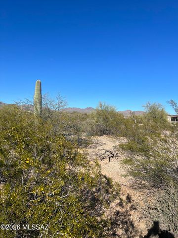 9690 W Sky Blue Drive, Tucson, AZ 85735