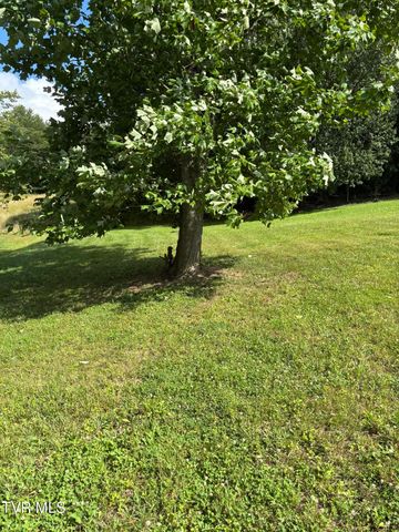 1095 Reynolds Road, Piney Flats, TN 37686