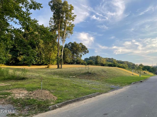 1095 Reynolds Road, Piney Flats, TN 37686