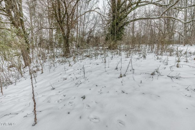 1036 Gap Creek Road, Elizabethton, TN 37601