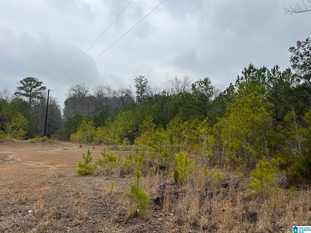 0 CLEARBROOK LANE, Calera, AL 35040