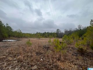 0 CLEARBROOK LANE, Calera, AL 35040