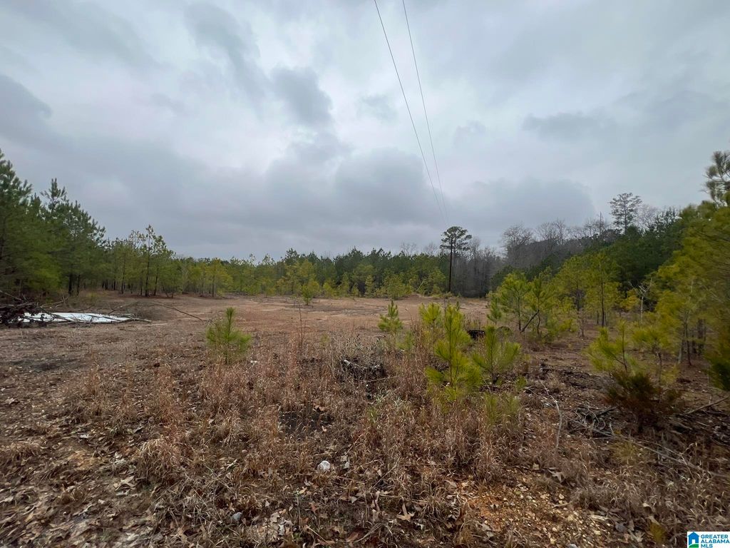 0 CLEARBROOK LANE, Calera, AL 35040