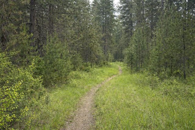 3219 W Packmule Ln, Deer Park, WA 99006