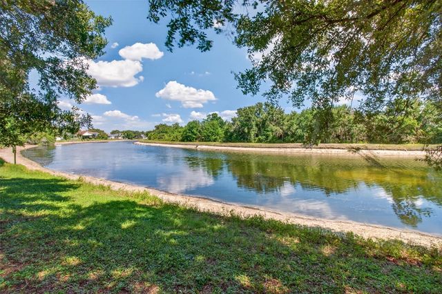 6710 HOLLY HEATH DRIVE, Riverview, FL 33578