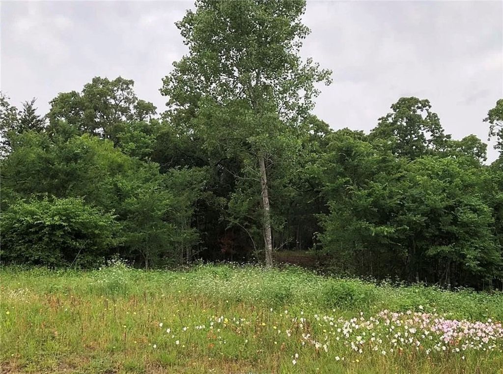 3994 Arboleda Drive, College Station, TX 77845 — photo 3