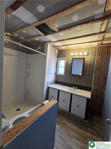 6337 Nisbet Court, Washington Twp, PA 18080