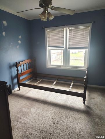 646 E LOCUST Street, Canton, IL 61520