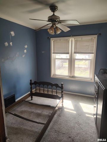 646 E LOCUST Street, Canton, IL 61520