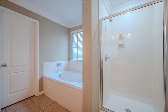 315 Remington Green Court, Houston, TX 77073