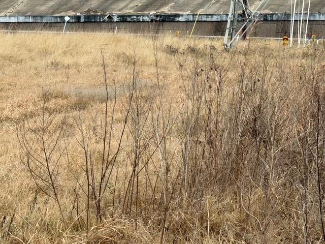 509 Krenek Road, Crosby, TX 77532