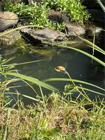 53 South Street, Edmeston, NY 13335