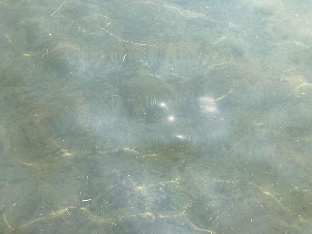 51509 County Hwy 9, Pelican Rapids, MN 56572