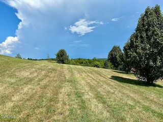 Tbd Dulaney Road, Mosheim, TN 37818