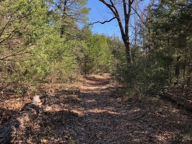 127 Lincoln Drive, Streetman, TX 75859