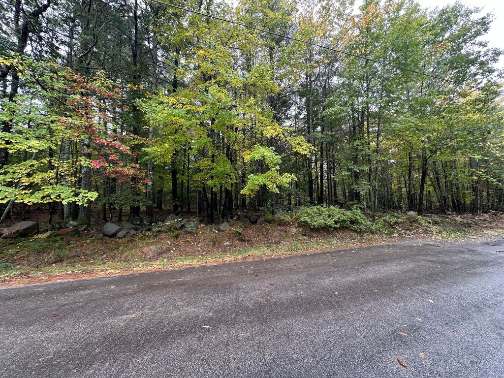 Lot 61.3 Sand Pond Road, Limington, ME 04049 — photo 2