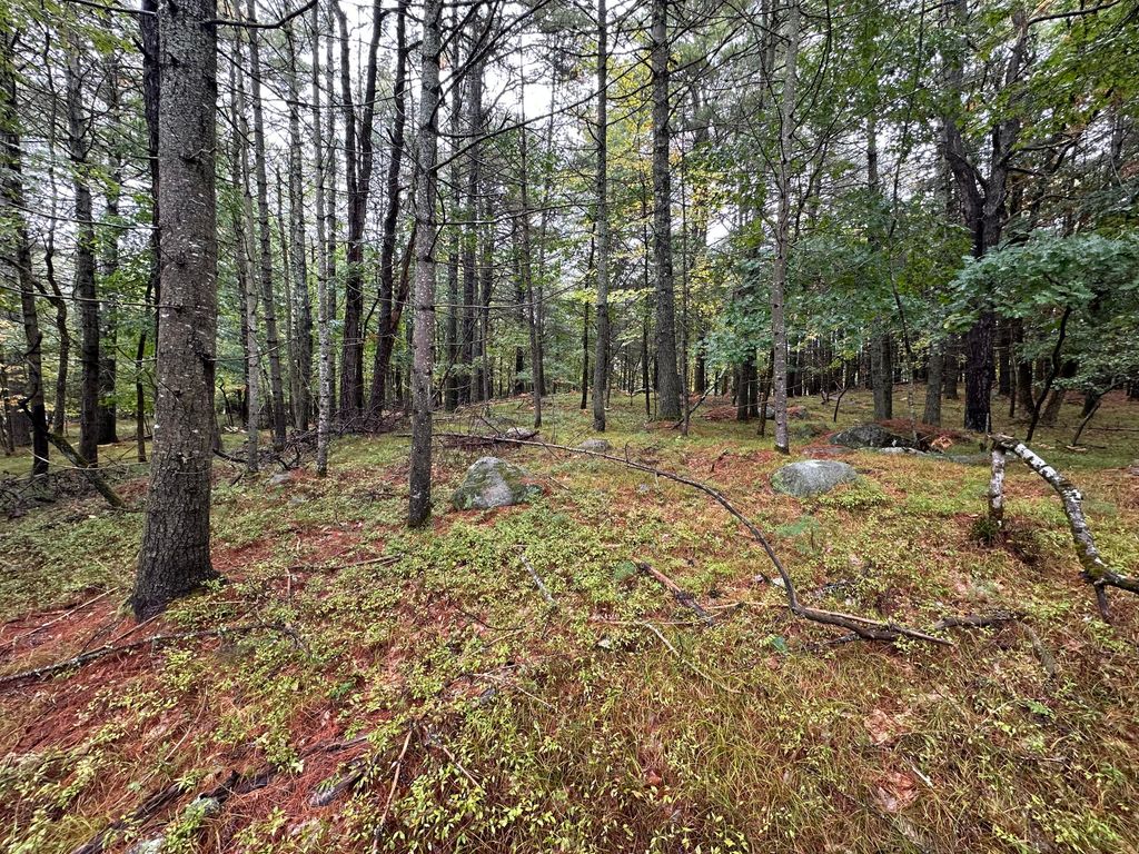 Lot 61.3 Sand Pond Road, Limington, ME 04049 — photo 3