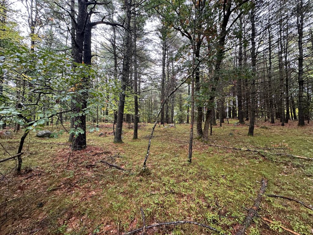 Lot 61.3 Sand Pond Road, Limington, ME 04049 — photo 4
