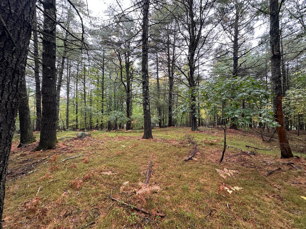 Lot 61.3 Sand Pond Road, Limington, ME 04049 — photo 5