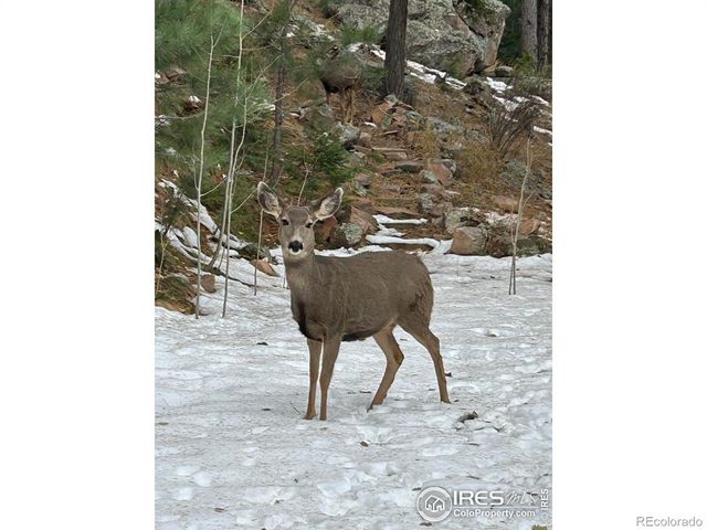 301 Valley Lane, Boulder, CO 80302