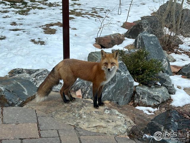 301 Valley Lane, Boulder, CO 80302