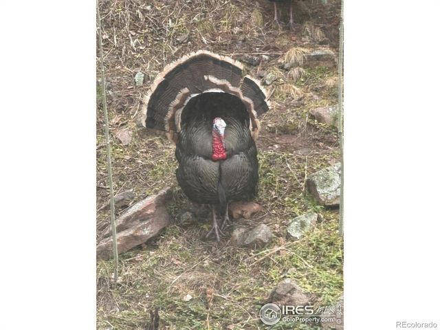 301 Valley Lane, Boulder, CO 80302