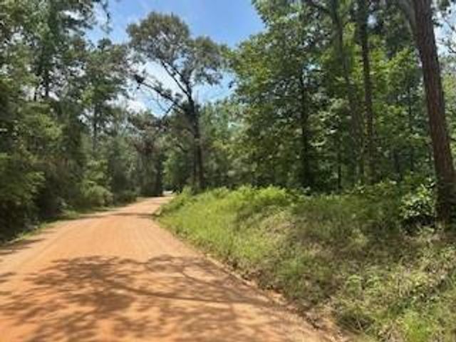 TBD Lilley Yeager Loop N, Cleveland, TX 77328