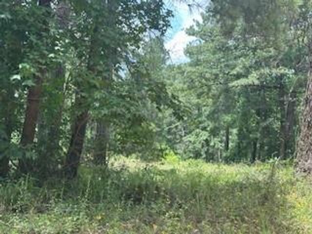 TBD Lilley Yeager Loop N, Cleveland, TX 77328