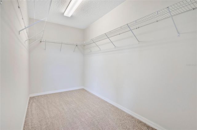 7231 DUXBURY LANE, Winter Garden, FL 34787