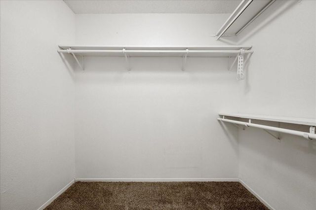 9572 Windswept Lane 9572, Houston, TX 77063