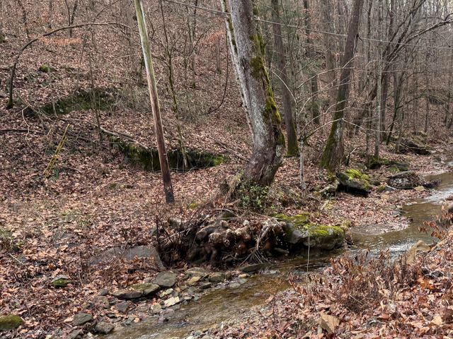 556 Blaines Branch Road, Beattyville, KY 41311