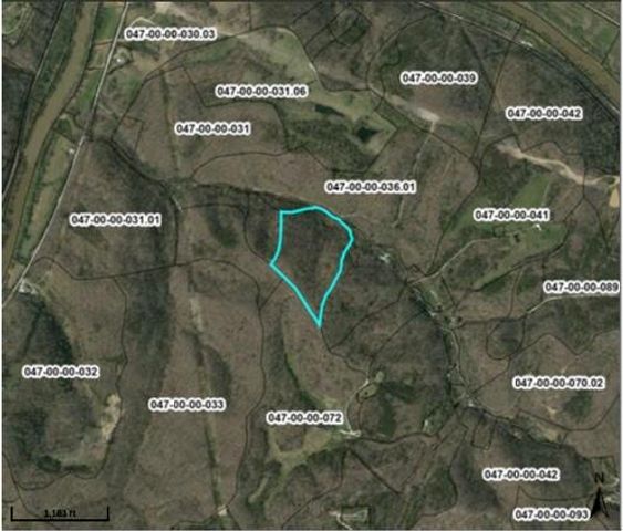 556 Blaines Branch Road, Beattyville, KY 41311