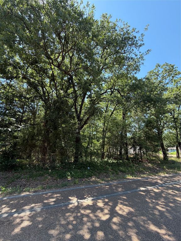 TBD TRIPLE N RANCH, Trinidad, TX 75163