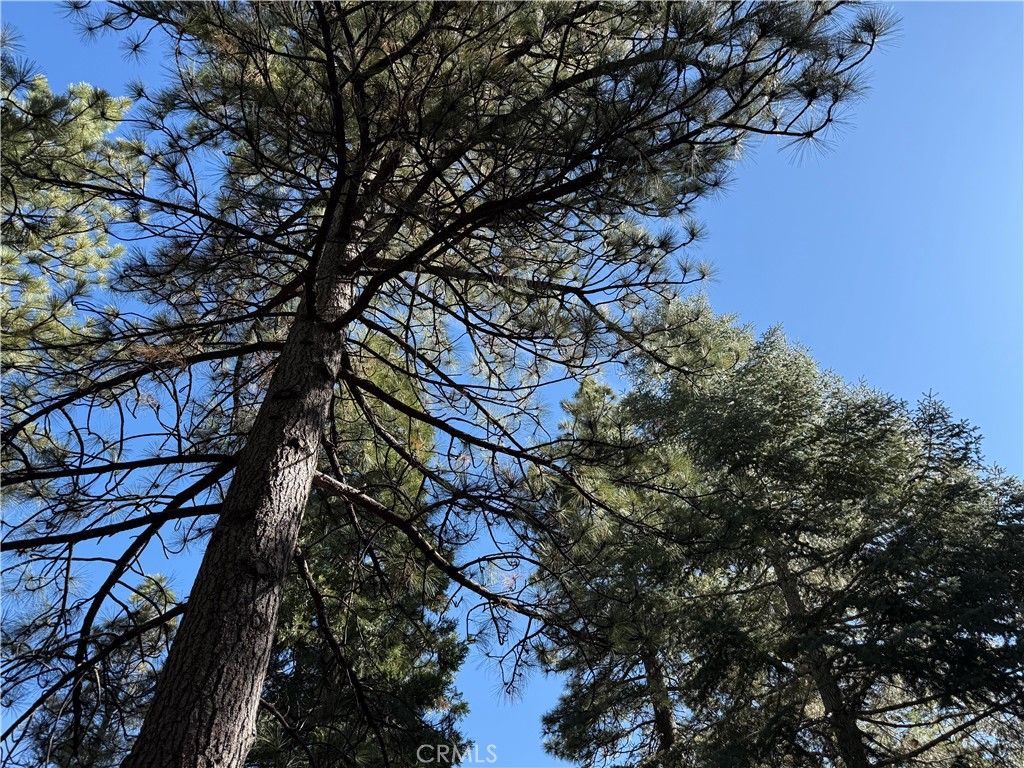 27334 Pinewood Drive, Lake Arrowhead, CA 92352