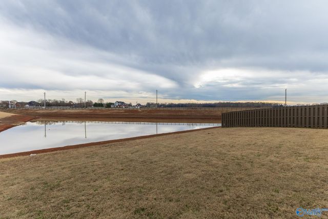 106 Elaina Grey Court, New Market, AL 35761