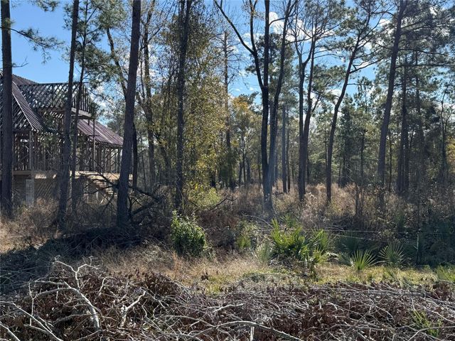 10181 Ehlers Road, Conroe, TX 77302