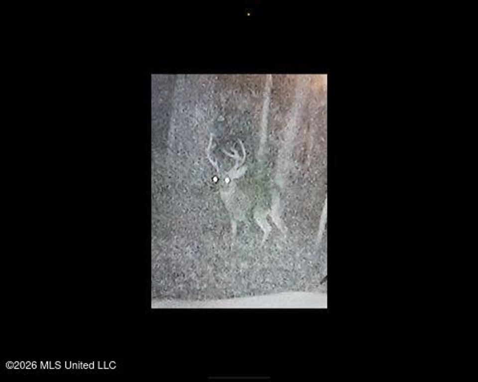 Cayce Road, Byhalia, MS 38611 — photo 3