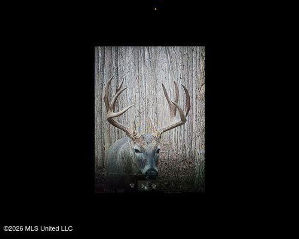Cayce Road, Byhalia, MS 38611 — photo 4