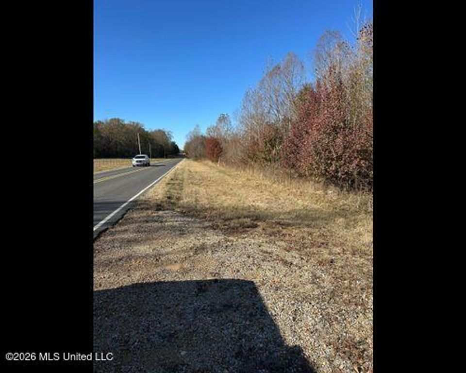 Cayce Road, Byhalia, MS 38611 — photo 5